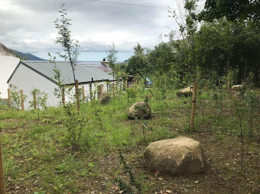 An Bothan-Cosy Cottage In The Cooley Mountains Дъндолк Екстериор снимка